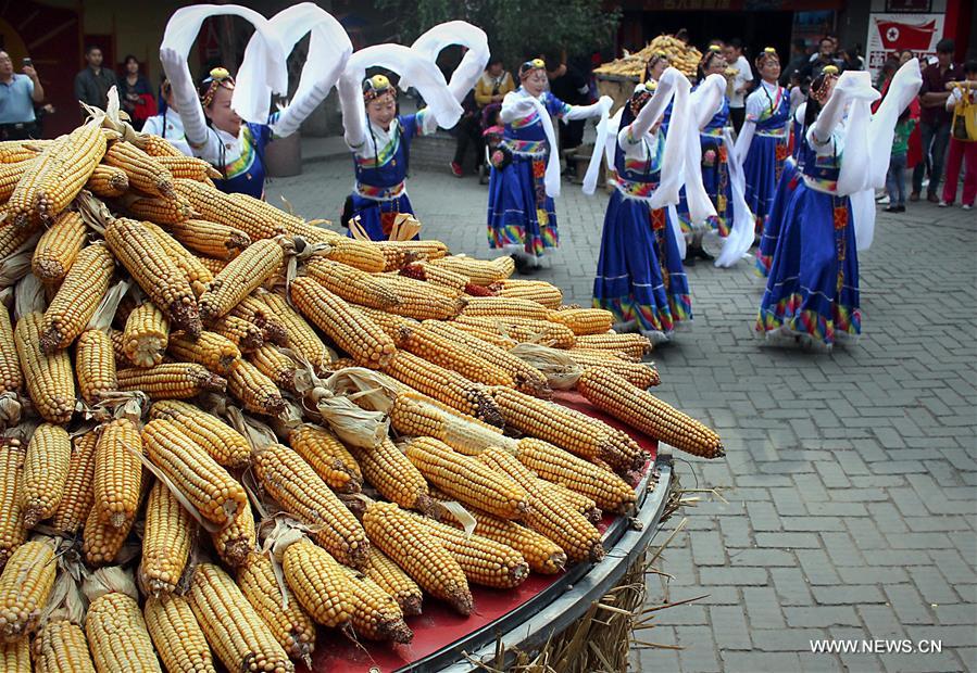 203.5 ????? ????? ???? ??????? ???????? ???? ???? ????? ??????