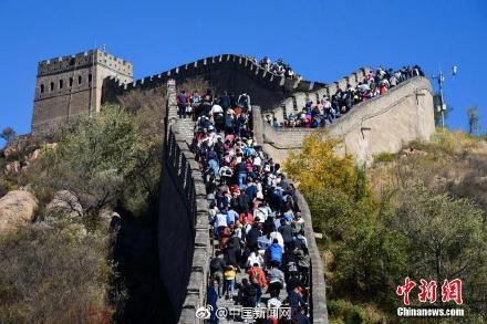 ???????? ?????? ????? 600 ????? ???? ???? ???? ????? ??????