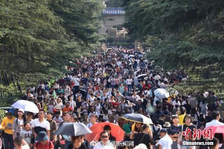 ???????? ?????? ????? 600 ????? ???? ???? ???? ????? ??????