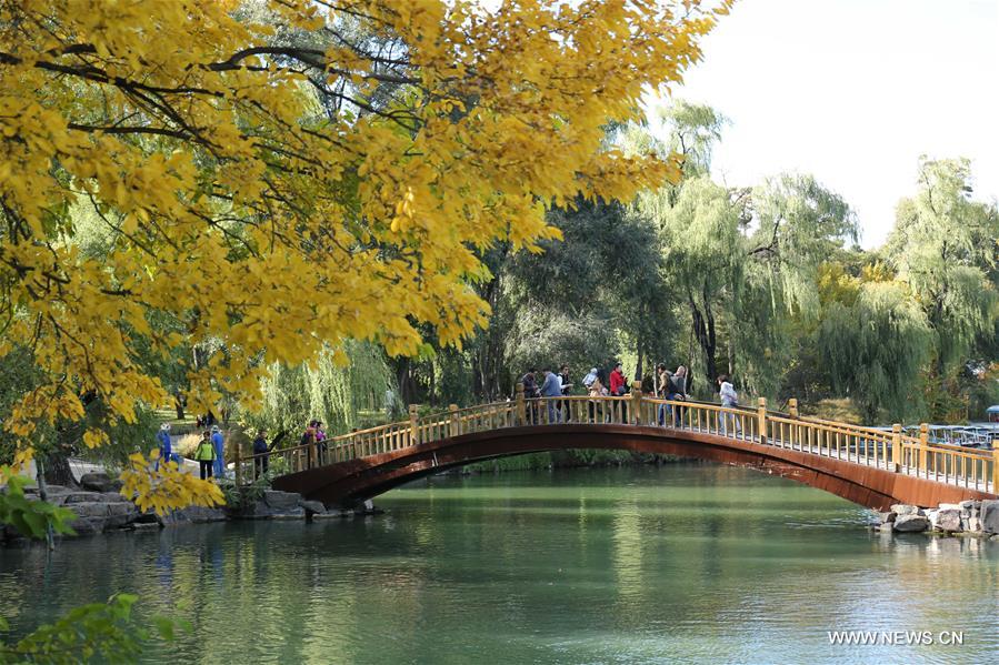 726 ????? ???? ?????? ??? ????? ????? ???? ????? ??????