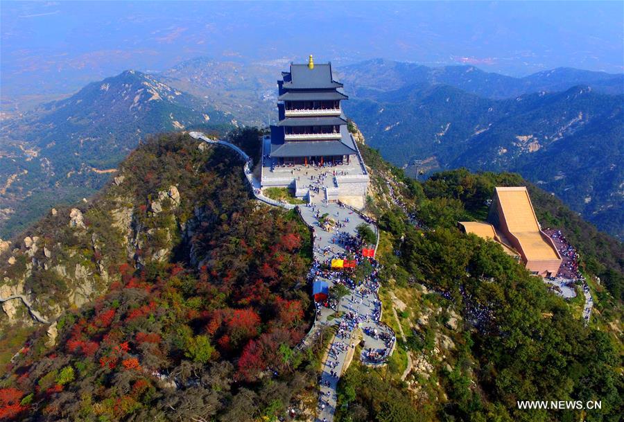 726 ????? ???? ?????? ??? ????? ????? ???? ????? ??????