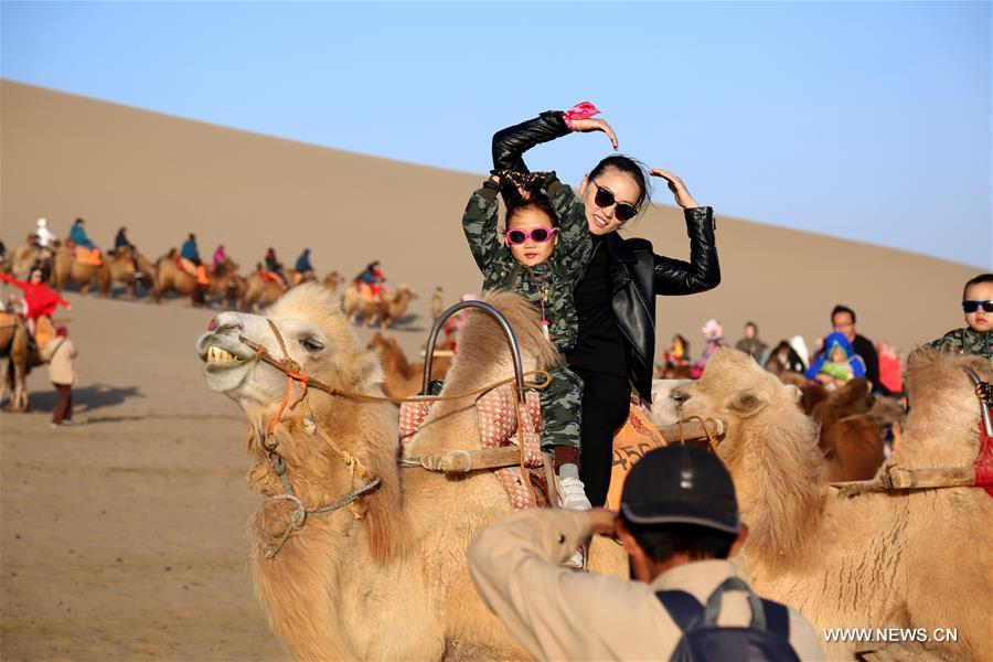 726 ????? ???? ?????? ??? ????? ????? ???? ????? ??????