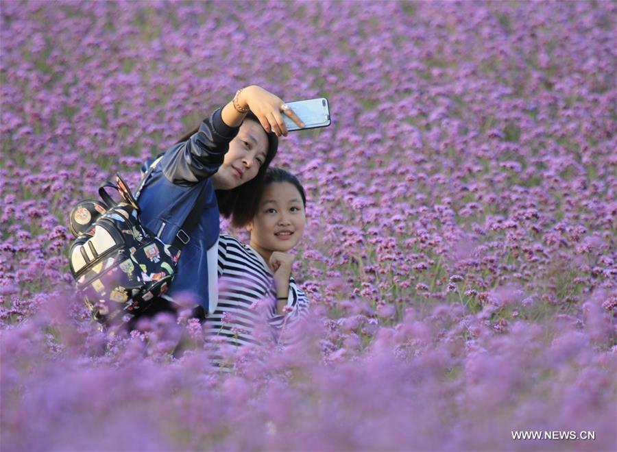 726 ????? ???? ?????? ??? ????? ????? ???? ????? ??????