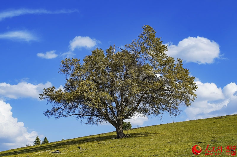 ?????? ???: ???? ???? ?????????