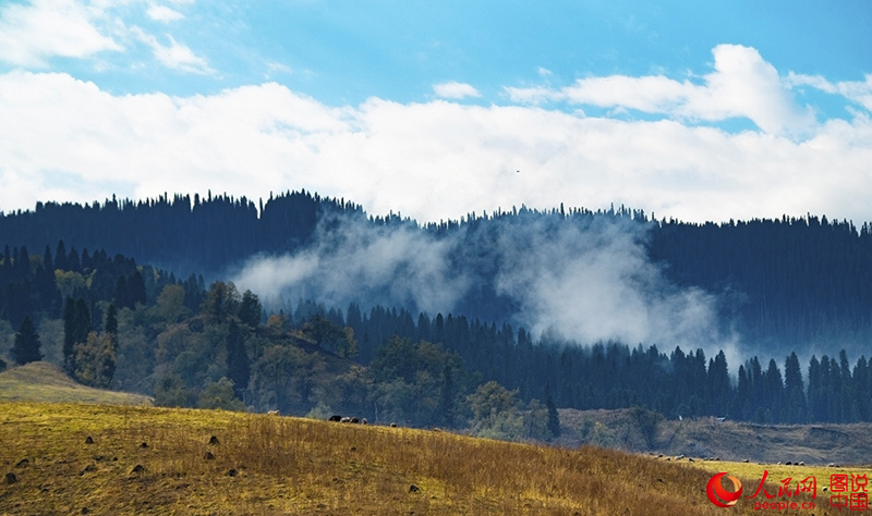 ?????? ???: ???? ???? ?????????