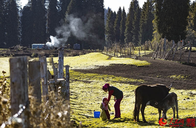 ?????? ???: ???? ???? ?????????