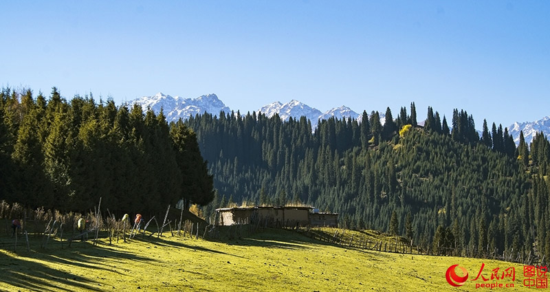 ?????? ???: ???? ???? ?????????