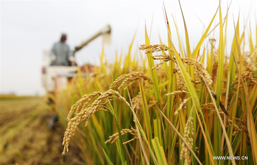 ????? ?????? ?? ??? ?????? ?? ????? ?????