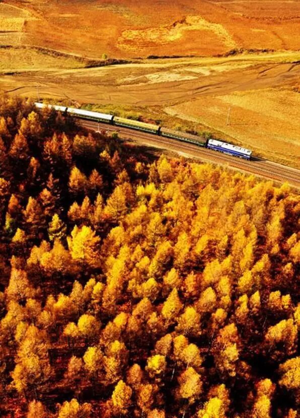 ?????? ???????? ?????? ??????: ?????? ?????? ?? ????????