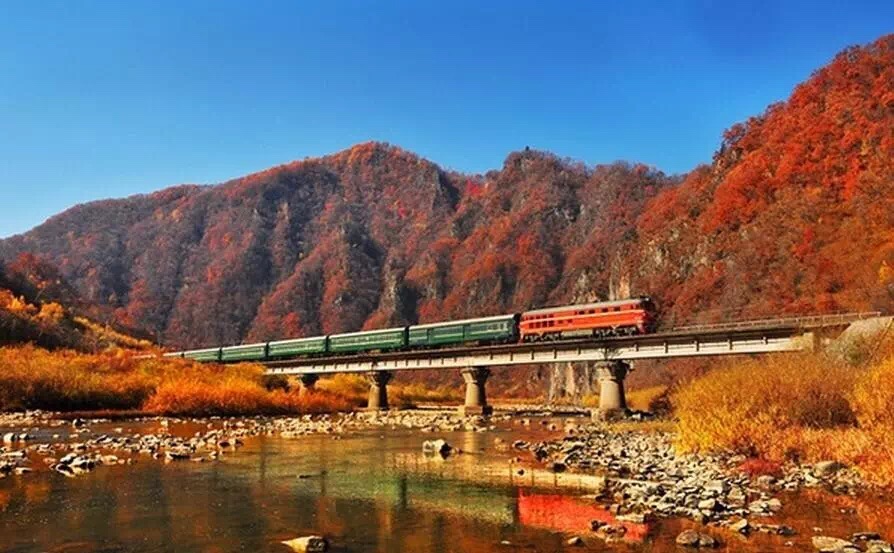 ?????? ???????? ?????? ??????: ?????? ?????? ?? ????????