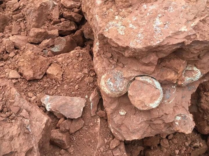 ?????? ??? 15 ?????? ???? ????????? ?? ????