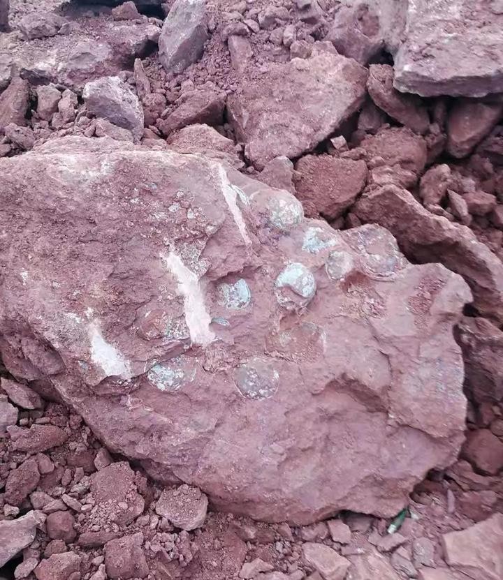 ?????? ??? 15 ?????? ???? ????????? ?? ????