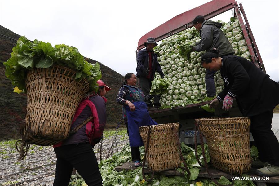 ???? ???? ??????? ?????? ?? ???? ???? ?????