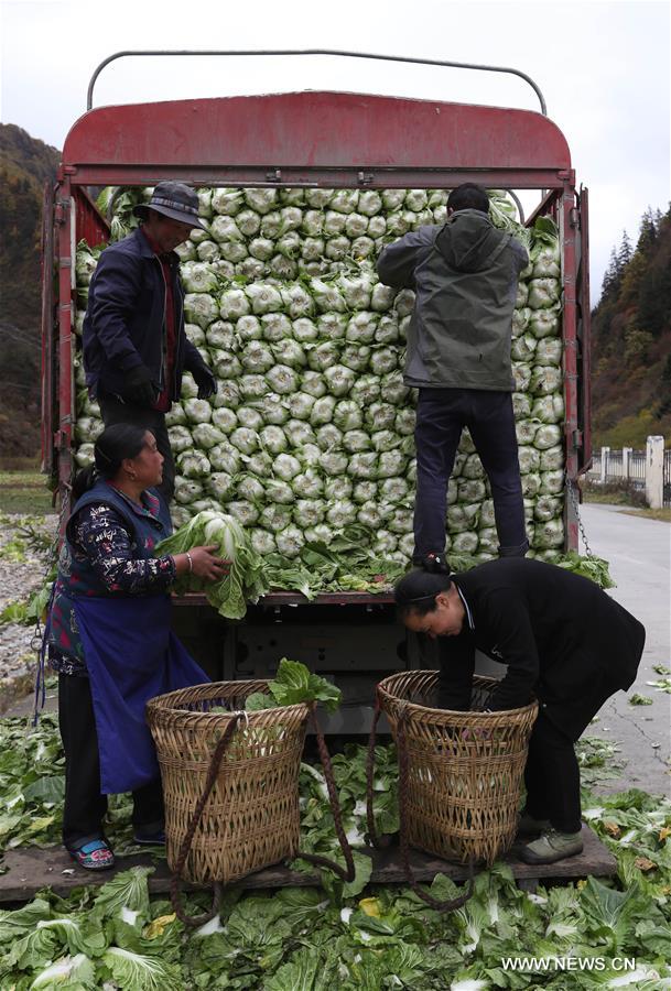 ???? ???? ??????? ?????? ?? ???? ???? ?????