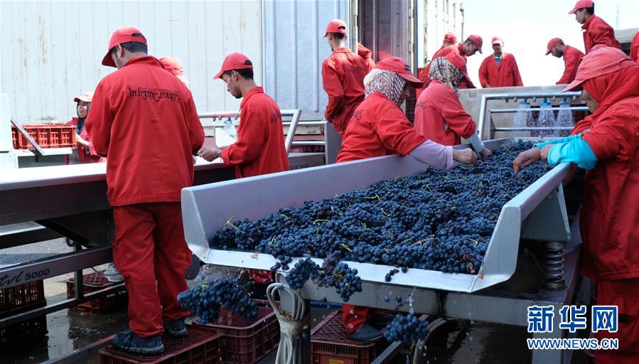 ?????? ??????? ???? ????? ??????? ??? ???? ??????? ?????????