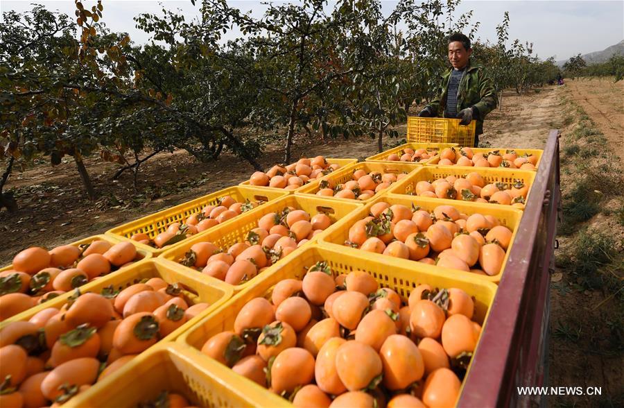 ???? ???? ????????? ?? ????? ????? ??????? ????