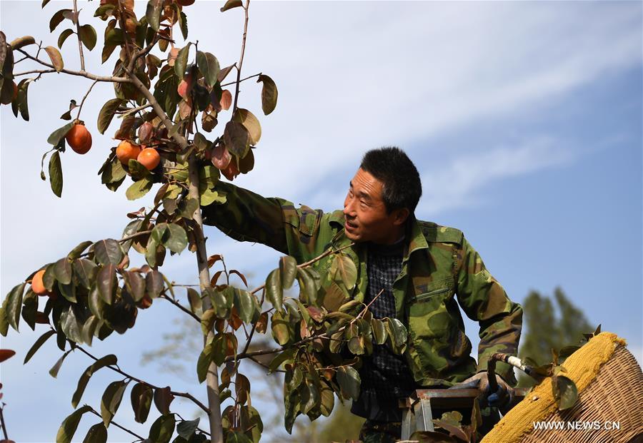 ???? ???? ????????? ?? ????? ????? ??????? ????