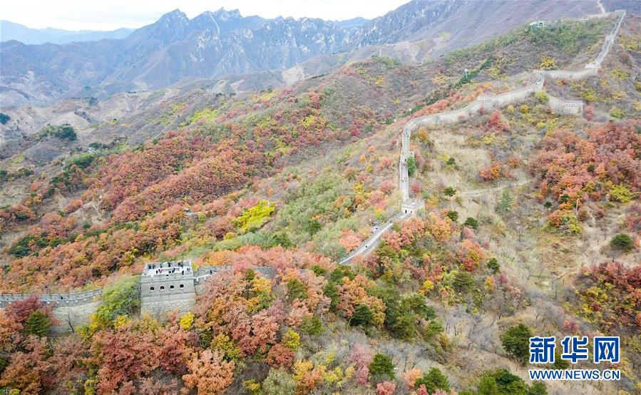 ??? ????? ?? ???? ???? ????? ??????