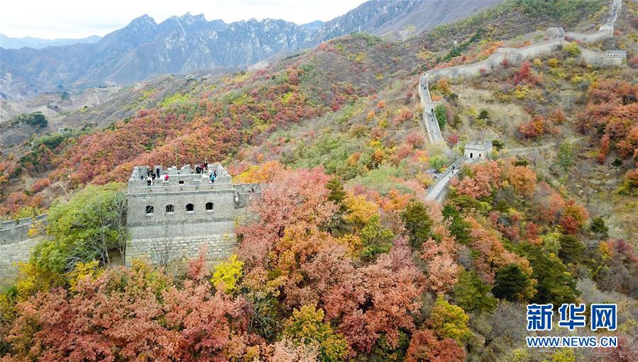 ??? ????? ?? ???? ???? ????? ??????