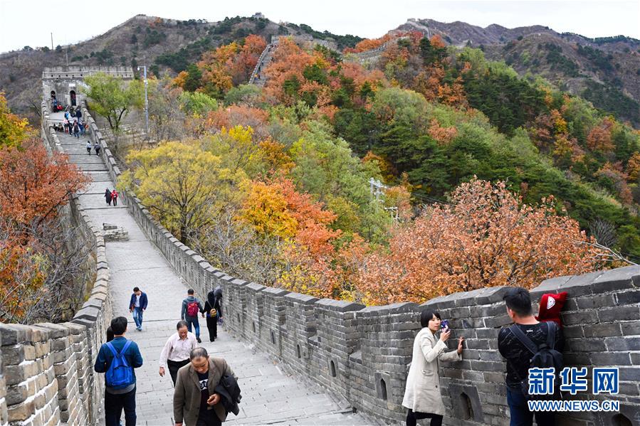 ??? ????? ?? ???? ???? ????? ??????