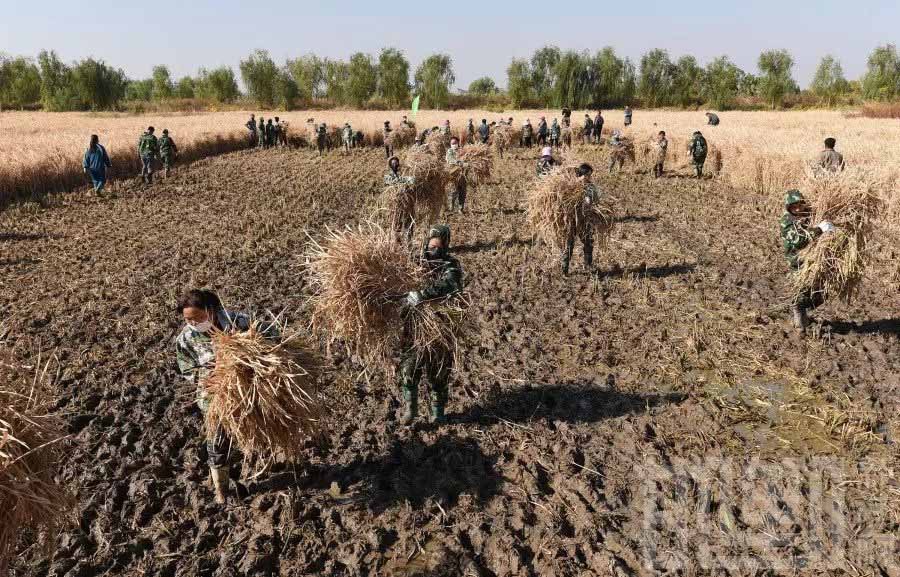 ????? ????? ?????? ?? ????? ??? ??? ????? ????? ????