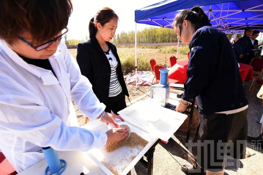 ????? ????? ?????? ?? ????? ??? ??? ????? ????? ????