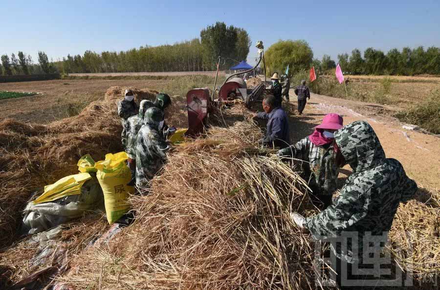 ????? ????? ?????? ?? ????? ??? ??? ????? ????? ????