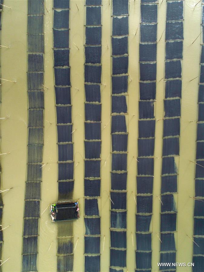 ???? ???? ????? ?????? ?? ?????? ????? ??????? ??????