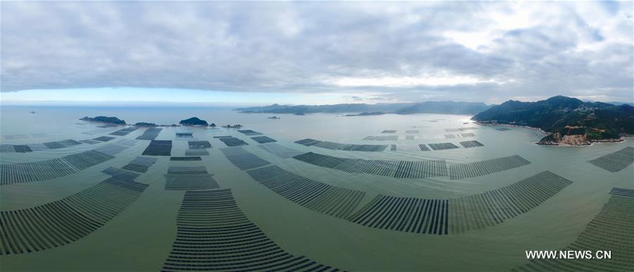 ???? ???? ????? ?????? ?? ?????? ????? ??????? ??????