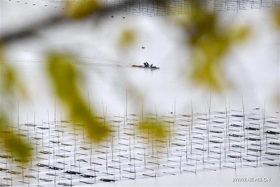 ???? ???? ????? ?????? ?? ?????? ????? ??????? ??????