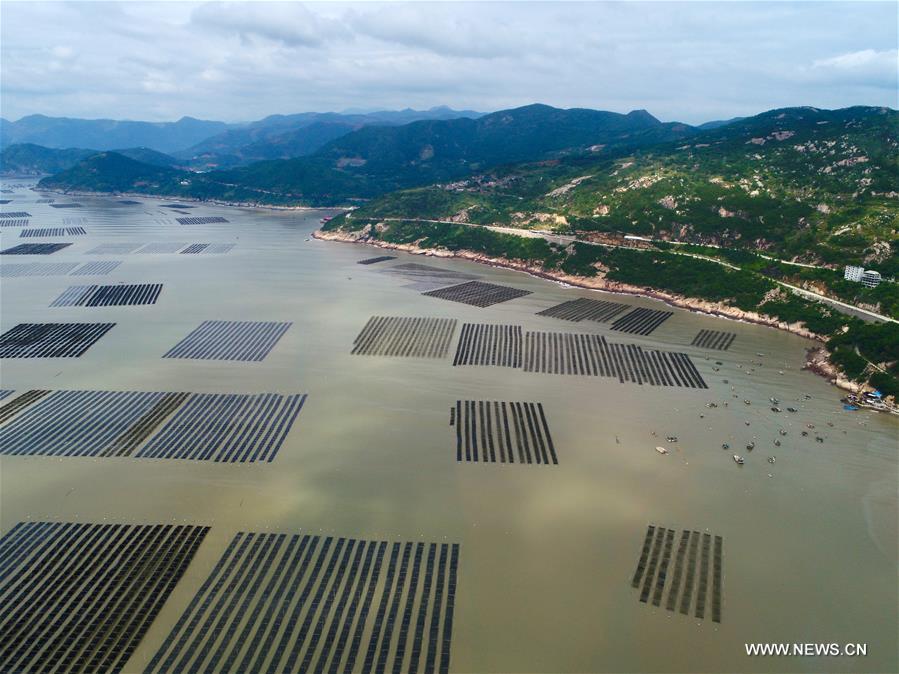 ???? ???? ????? ?????? ?? ?????? ????? ??????? ??????