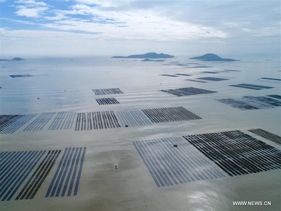 ???? ???? ????? ?????? ?? ?????? ????? ??????? ??????