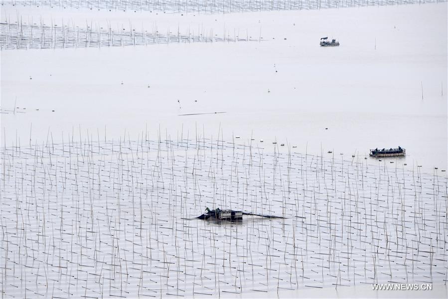 ???? ???? ????? ?????? ?? ?????? ????? ??????? ??????