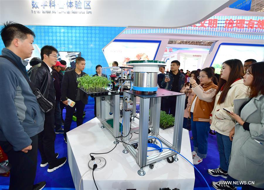 ???? ???????? ??????????? ???????? ??????? ?? ?????? ????