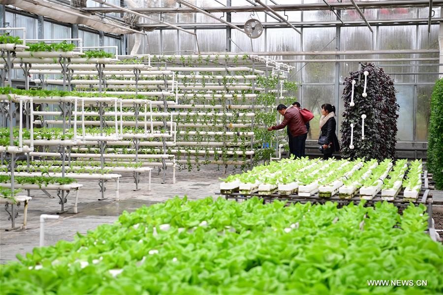 ???? ???????? ??????????? ???????? ??????? ?? ?????? ????