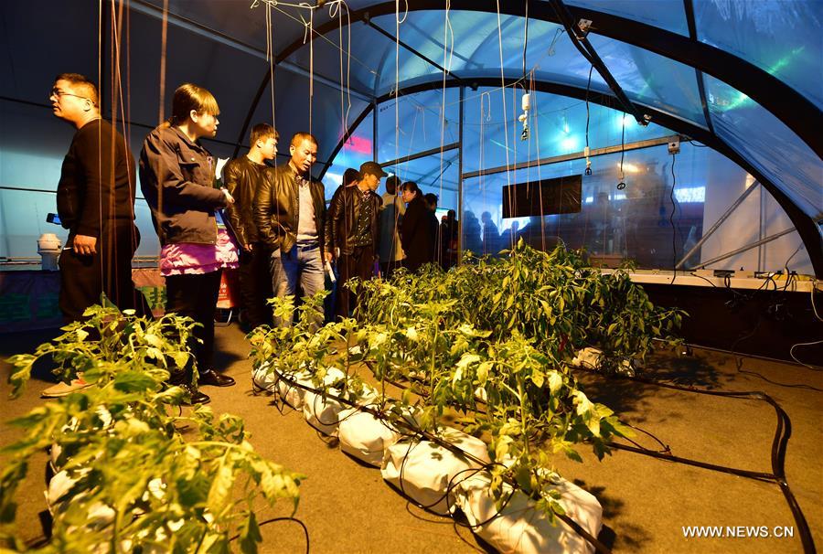 ???? ???????? ??????????? ???????? ??????? ?? ?????? ????