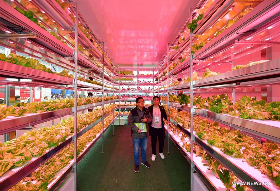 ???? ???????? ??????????? ???????? ??????? ?? ?????? ????