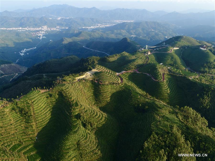 ?????? ???? ???? ????? ????? ?? ????? ???????? ??????? ??????