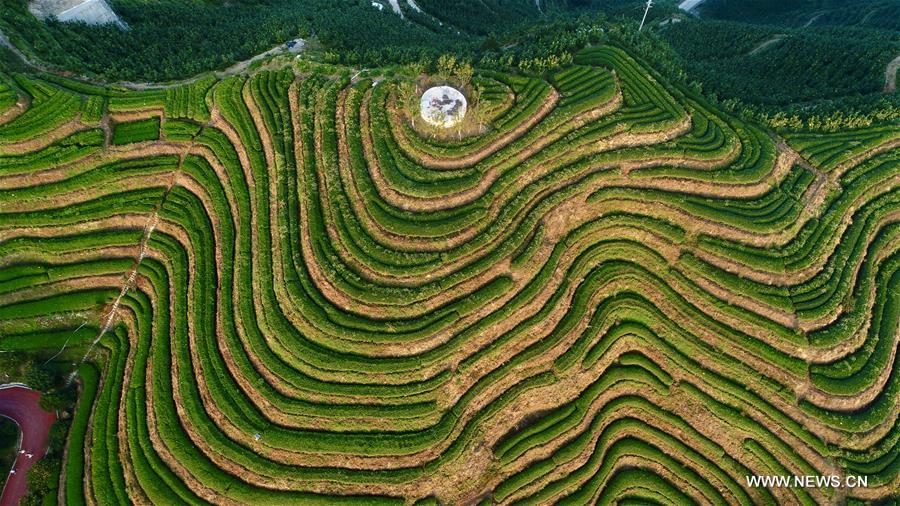 ?????? ???? ???? ????? ????? ?? ????? ???????? ??????? ??????