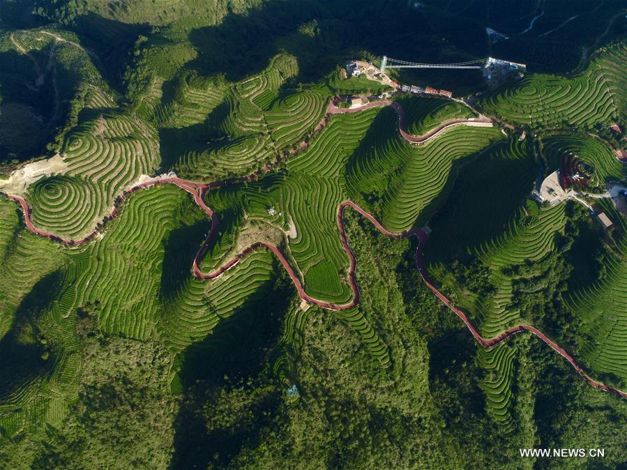 ?????? ???? ???? ????? ????? ?? ????? ???????? ??????? ??????