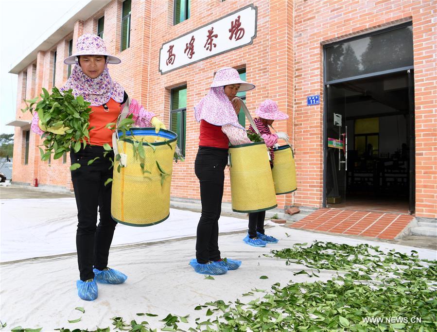 ?????? ???? ???? ????? ????? ?? ????? ???????? ??????? ??????