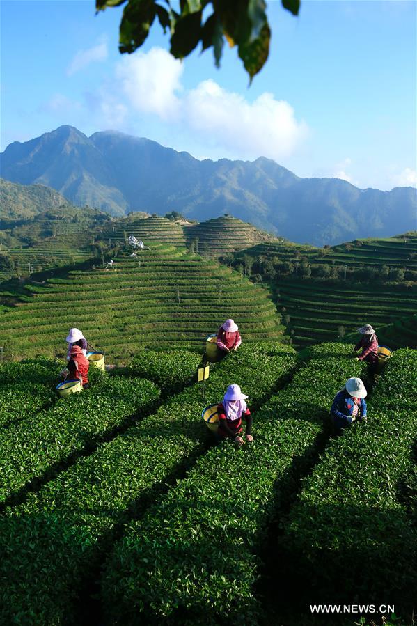 ?????? ???? ???? ????? ????? ?? ????? ???????? ??????? ??????