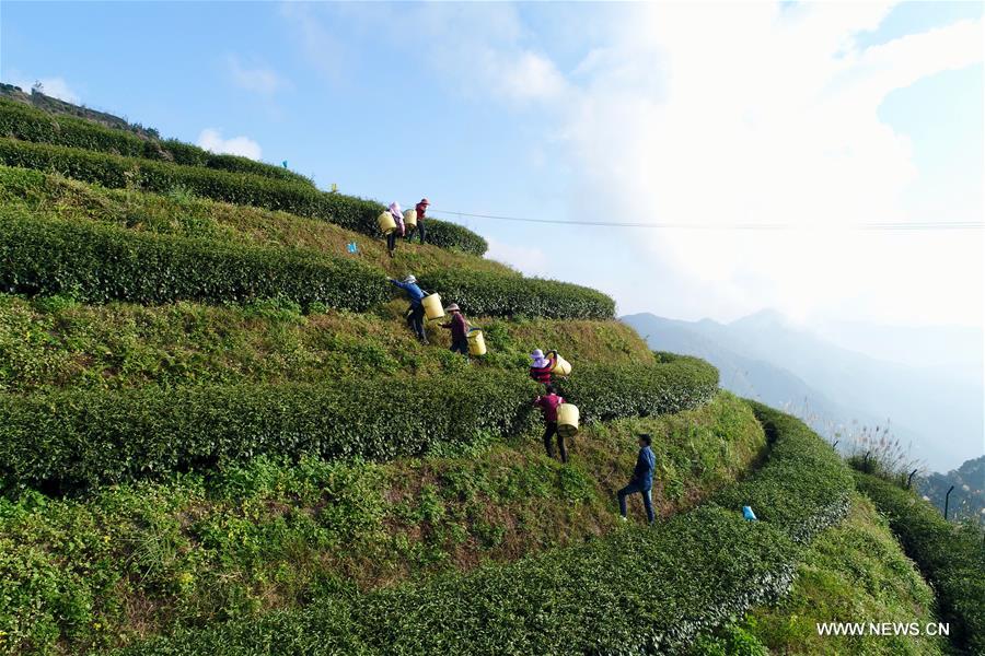 ?????? ???? ???? ????? ????? ?? ????? ???????? ??????? ??????