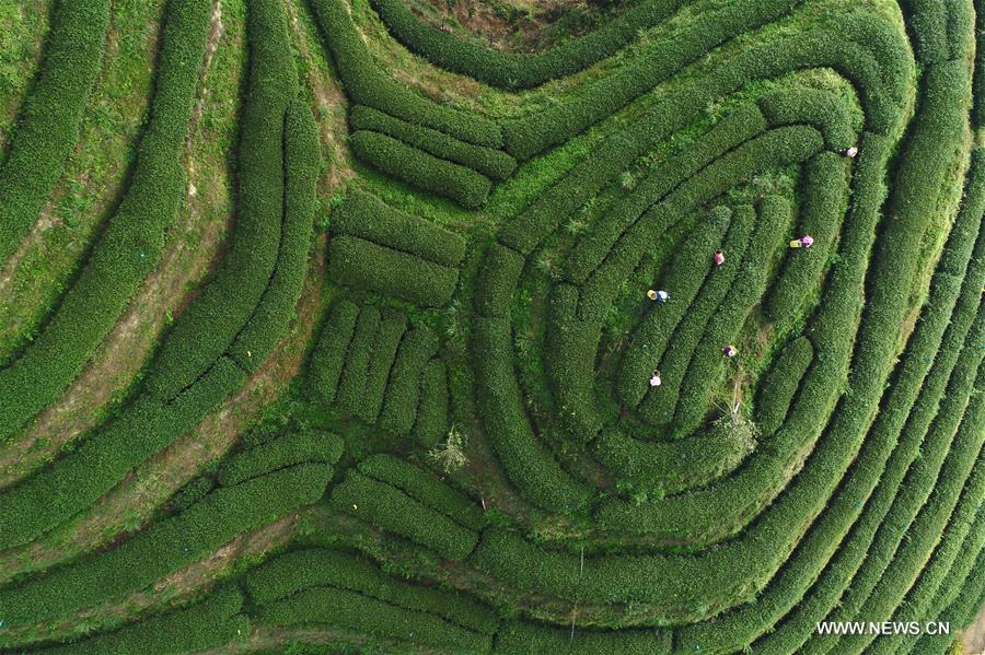 ?????? ???? ???? ????? ????? ?? ????? ???????? ??????? ??????