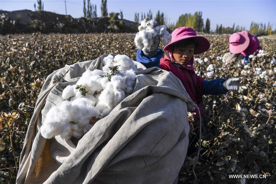 ?????? ???? ?????? ????? ?? ????? ???????? ????????? ??????? ?????