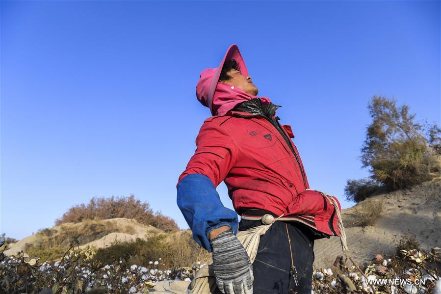 ?????? ???? ?????? ????? ?? ????? ???????? ????????? ??????? ?????