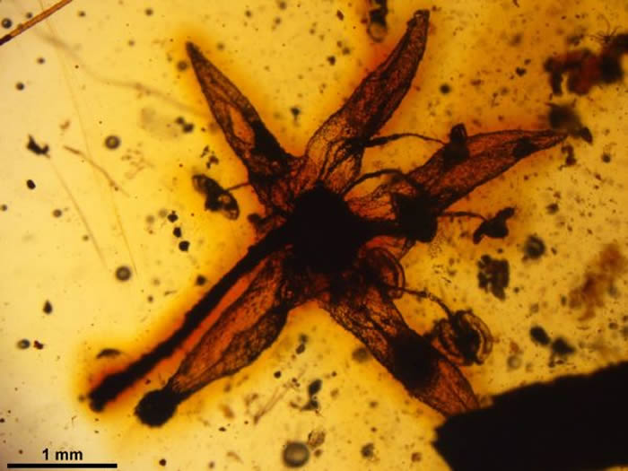 ????? ?????? ??????? ????? ?????