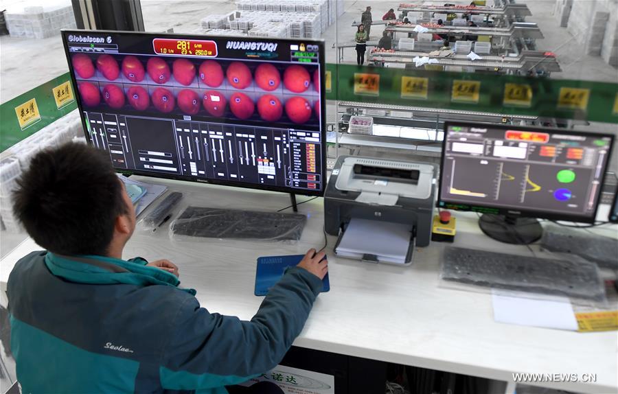 ????? ???? ???? ?????? ????? ?????? ?? ??????