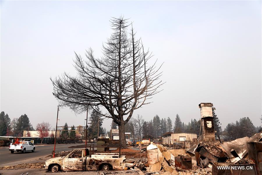 ?????? ??? ???? ???? ???? ?????????? ??? 77 ????