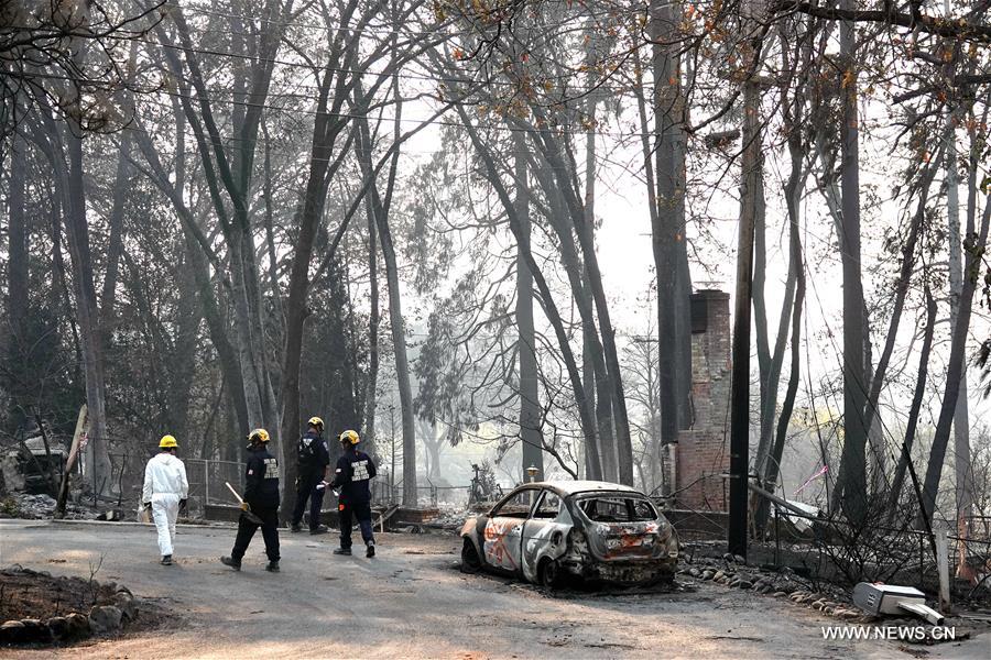 ?????? ??? ???? ???? ???? ?????????? ??? 77 ????